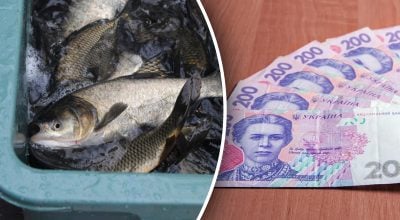 Рыба, деньги