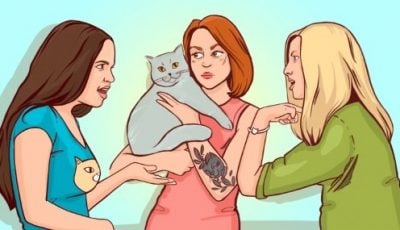 Хто справжній власник кота: потрібно відповісти за 9 секунд