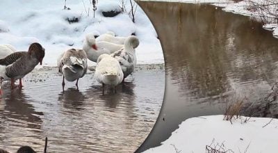 озеро озеро
