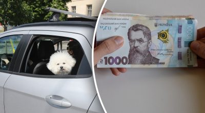 Деньги, автомобиль Деньги, автомобиль