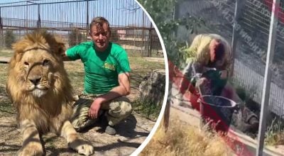 'Не було живого місця': колаборанта Олега Зубкова в Криму пошматували власні леви 'Не було живого місця': колаборанта Олега Зубкова в Криму пошматували власні леви