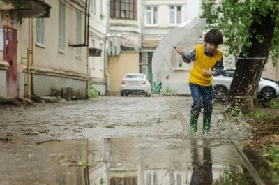 погода погода