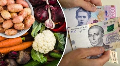 'Другий хліб' стає доступнішим: в Україні знижуються ціни на ключовий продукт 'Другий хліб' стає доступнішим: в Україні знижуються ціни на ключовий продукт