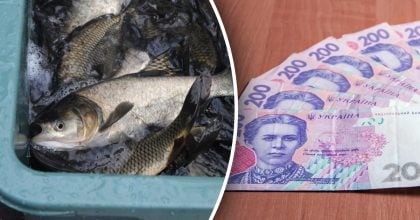 Українців попереджають про подорожчання раніше доступного білкового продукту