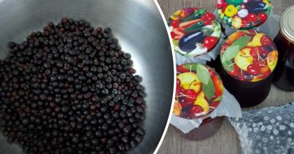 4 способа заготовить черную смородину на зиму: вкусно, полезно и без потерь