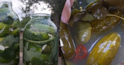 Что кладут в соленые огурцы: рецепт огурцов из бабушкиной кадки