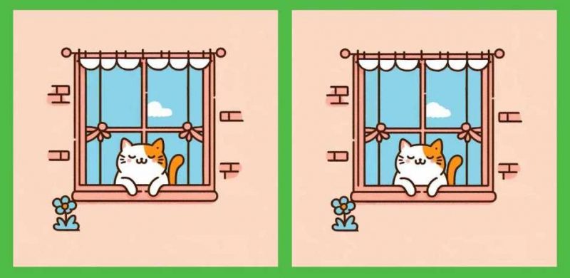 Необычный ребус: найдите 3 отличия в изображении котенка за 17 секунд