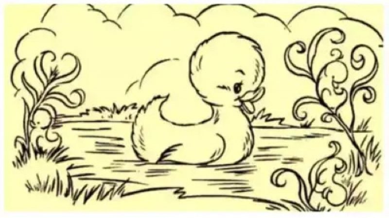 Тільки "чемпіон з головоломок" знайде трьох каченят: є всього 7 секунд