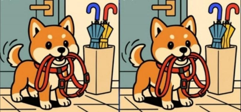 Ребус для тих, у кого чудовий зір: треба знайти три відмінності на картинці