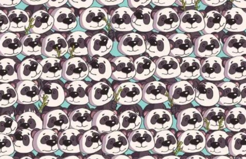 Незвичайний ребус: знайдіть собаку серед безлічі панд за 11 секунд