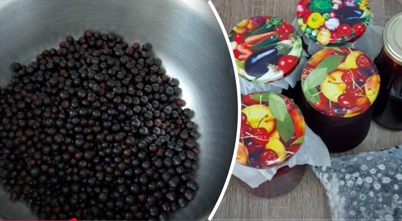 4 способа заготовить черную смородину на зиму: вкусно, полезно и без потерь