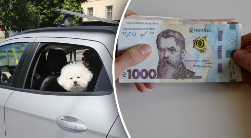 Водители в Украине могут получить штраф за открытые окна авто - детали