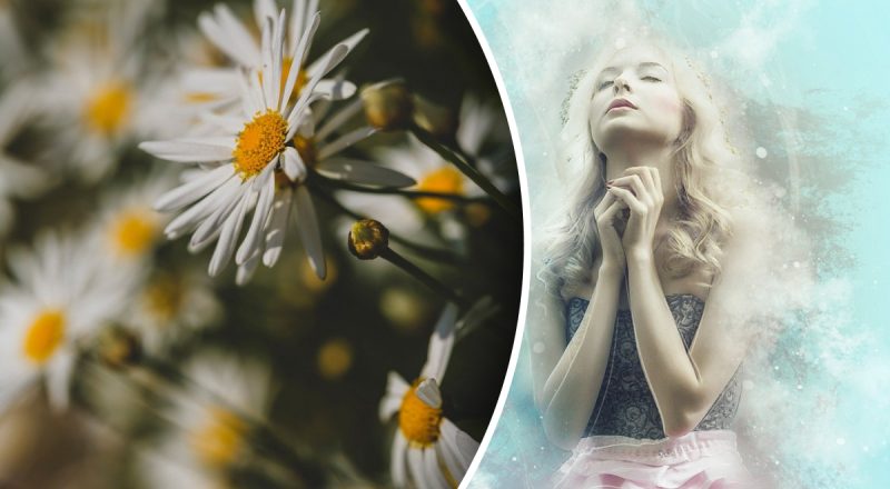 День літнього сонцестояння 2025: як загадати бажання і що не можна робити