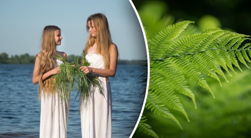 Івана Купала 2025: коли за старим і новим стилем