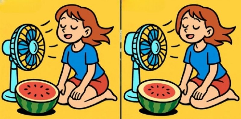 Загадка для людей с высоким IQ: где 3 различия между девушками с вентилятором