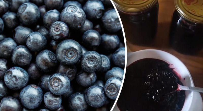 Чорниця не псуватиметься до 5 тижнів: одна дія врятує ягоду від плісняви