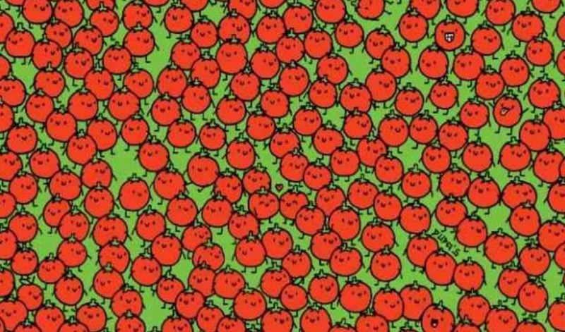 Необычный ребус: найдите 3 яблока среди множества помидоров за 5 секунд