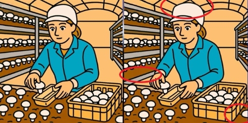 головоломка головоломка