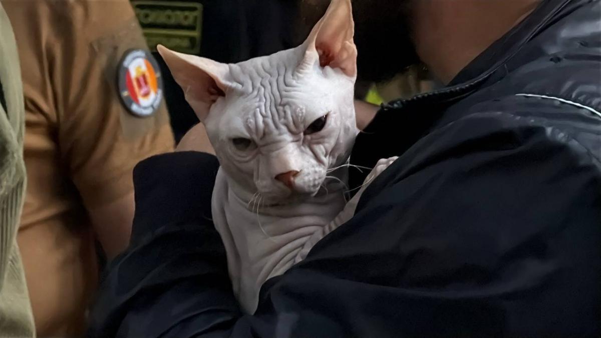 Наслідки атаки РФ на Одесу Наслідки атаки РФ на Одесу