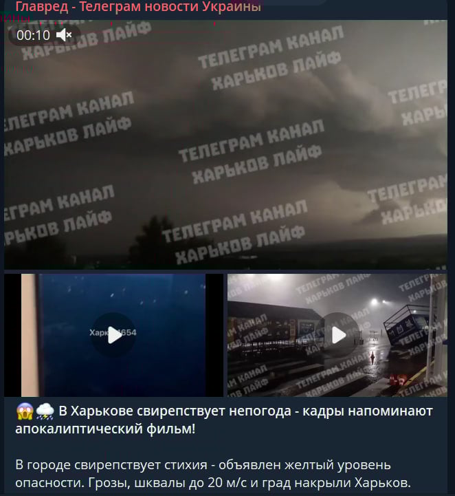 Харків накрила смертельна негода: дерева падають на людей, на вулицях хаос Харків накрила смертельна негода: дерева падають на людей, на вулицях хаос