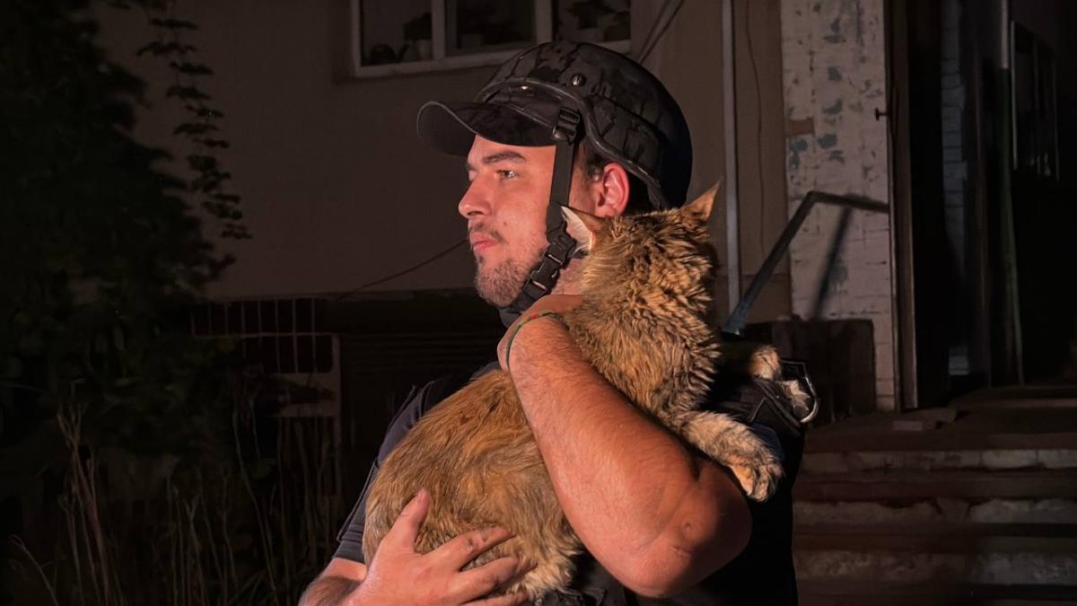 Наслідки удару РФ по Одесі в ніч на 19 липня 2025 року