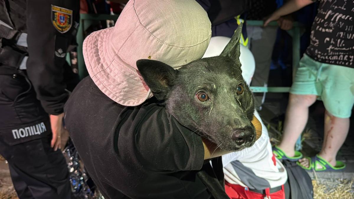 Наслідки удару РФ по Одесі в ніч на 19 липня 2025 року