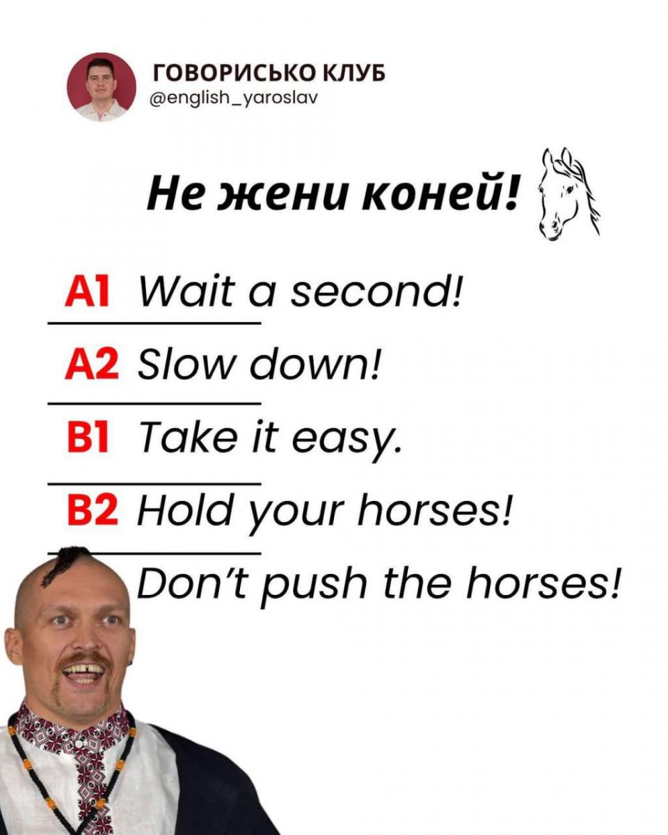Don't Push The Horses Олександр Усик - меми з Усиком