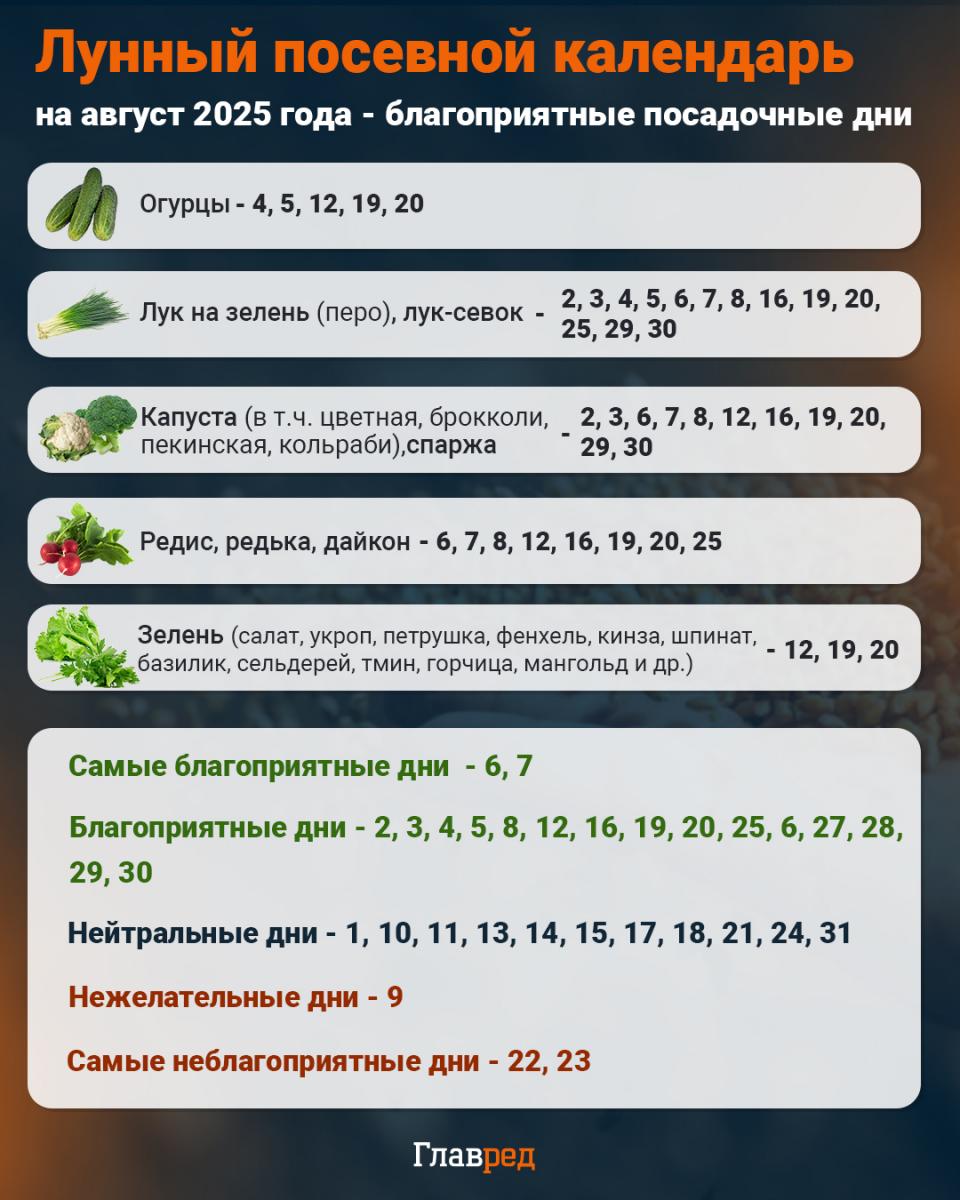 Посевной календарь на август 2025