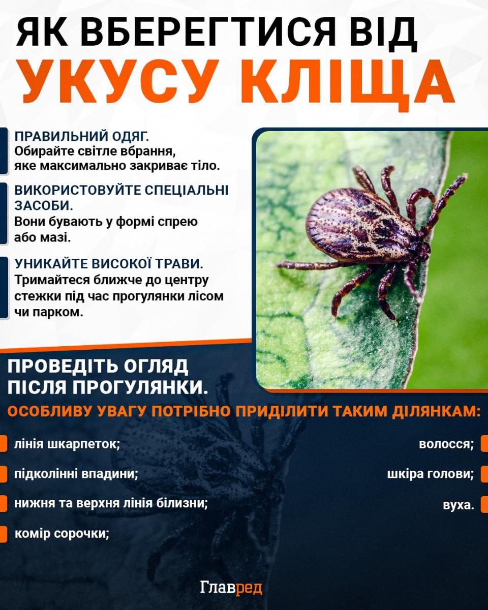 Як вберегтися від укусу кліща