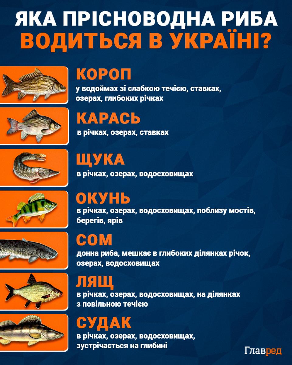 Яка прісноводна риба водиться в Україні
