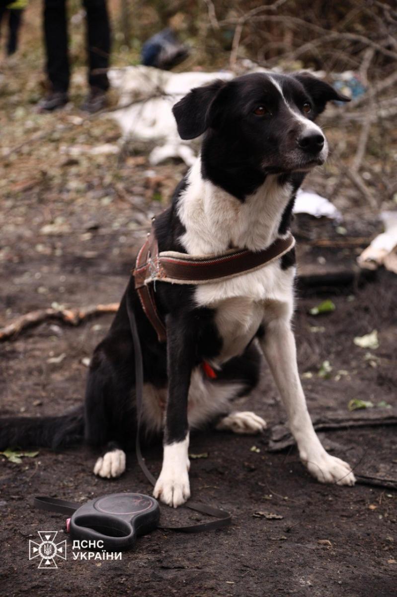 Наслідки атаки по Києву 31 липня Наслідки атаки по Києву 31 липня