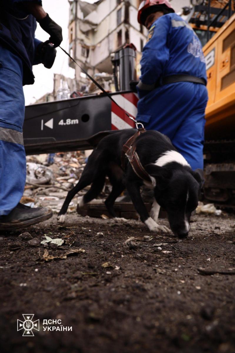 Наслідки атаки по Києву 31 липня Наслідки атаки по Києву 31 липня