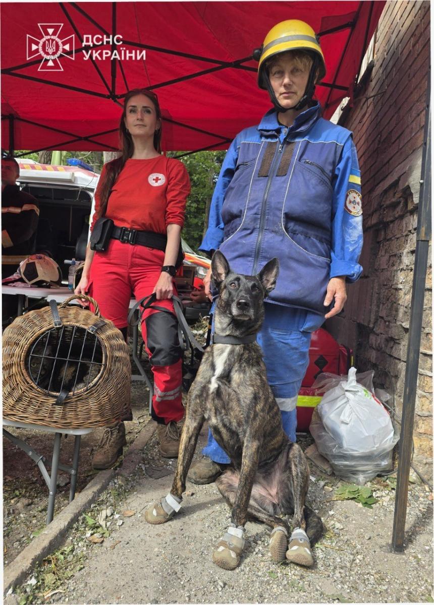 Наслідки атаки по Києву 31 липня Наслідки атаки по Києву 31 липня