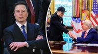 Закрити бізнес і повернутися до ПАР: Трамп порадив Маску прикрити лавочку