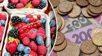 Ціни на синю перлину впали на 30%: в Україні різко подешевшала улюблена ягода