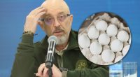 Яйця по 17 гривень за штуку для ЗСУ: НАБУ провело обшуки в Резнікова - ЗМІ