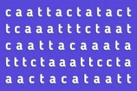 Слово кіт побачать тільки справжні генії: загадку треба розгадати за 7 секунд