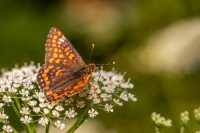 В Україну увірветься потужний циклон: в яких областях спаде спека