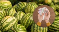 В Украине начался сезон арбузов: эксперт сказал, чего ждать от цен