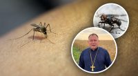 Воно теж хотіло жити: священник чесно відповів, чи гріх вбивати мух і комарів