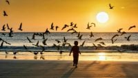 Нестерпна спека суне в Україну: де прокапають невеликі дощі