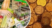 Україна прощається з 10 копійками: чому тепер ціни на продукти підскочать