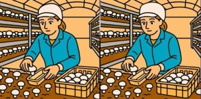 головоломка головоломка
