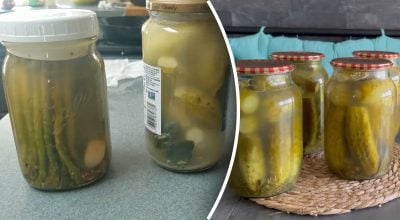 Маринованные огурцы Маринованные огурцы