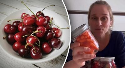 Вишні не псуватимуться тижнями: блогерка розкрила секрет зберігання фруктів і ягід Вишні не псуватимуться тижнями: блогерка розкрила секрет зберігання фруктів і ягід