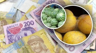 деньги, дыни, арбузы деньги, дыни, арбузы