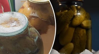 Яку сіль не можна використовувати для консервації Яку сіль не можна використовувати для консервації