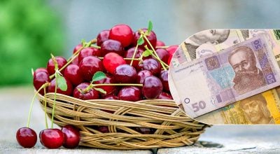Вперше за багато років: ціни на популярну в Україні ягоду поставили рекорд Вперше за багато років: ціни на популярну в Україні ягоду поставили рекорд