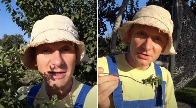 Портулак Портулак