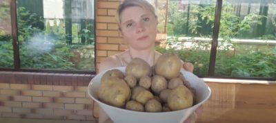 Як швидко очистити руки від молодої картоплі або ягід Як швидко очистити руки від молодої картоплі або ягід